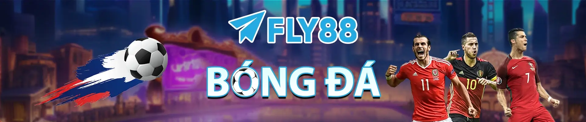 Banner bóng đá Fly88