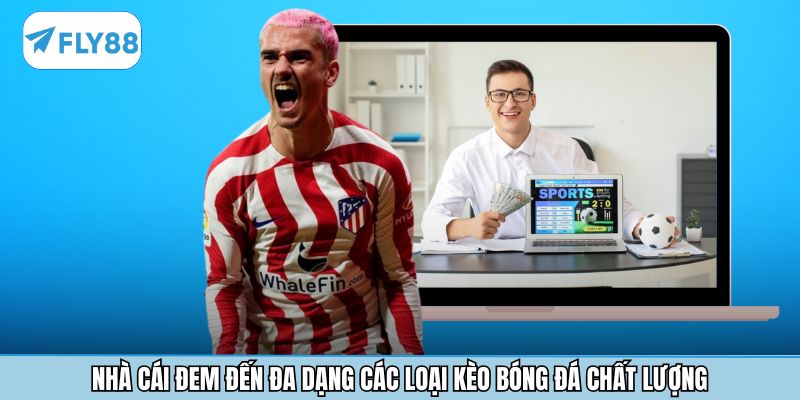 Nhà cái đem đến đa dạng các loại kèo bóng đá chất lượng