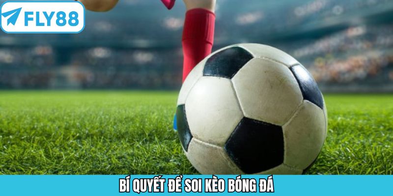 Bỏ túi 3+ bí quyết soi kèo thắng đậm chuẩn cao thủ