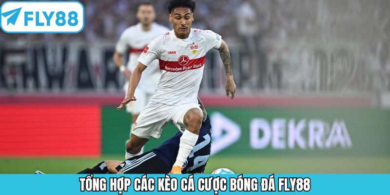 Một số loại kèo bóng đá phổ biến tại Fly88