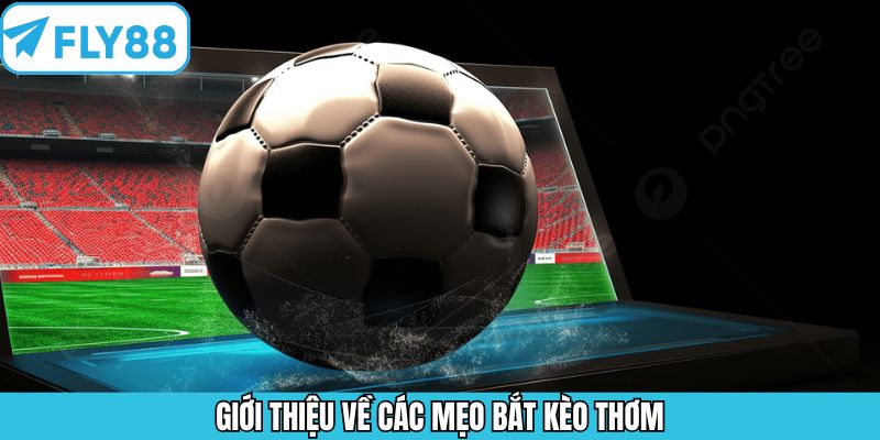 Đôi nét sơ lược về mẹo chọn kèo giá trị tại Fly88