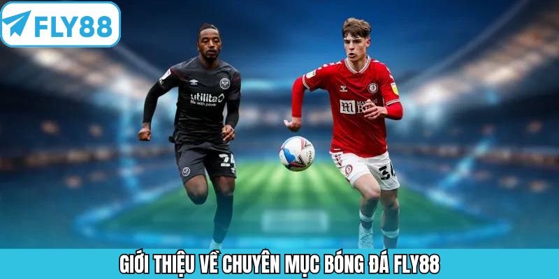 Tổng quan về điểm đến cá cược thể thao hấp dẫn Fly88