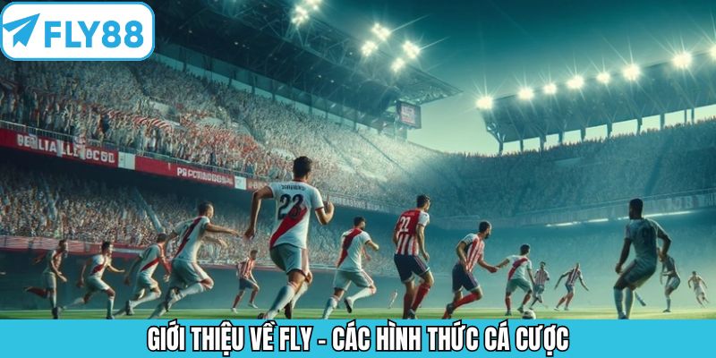 Giới thiệu về Fly88 cung cấp rất nhiều kèo cược bóng đá