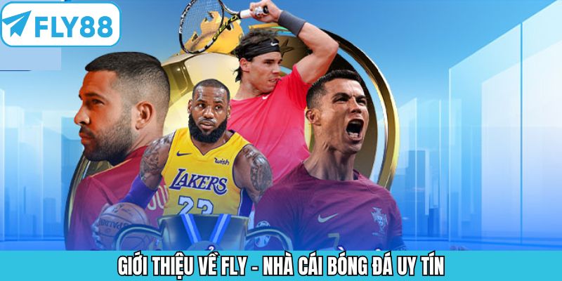 Điểm qua vài nét giới thiệu về Fly88