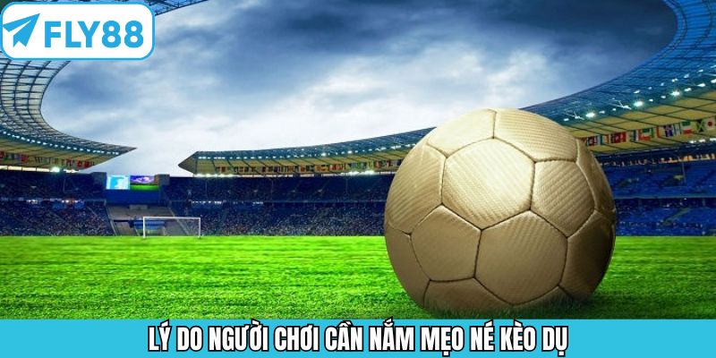 Những lợi ích của việc áp dụng mẹo né kèo dụ nhà cái