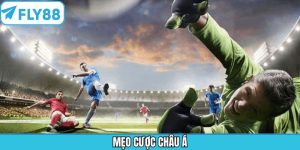 Mẹo Cược Châu Á - Nắm Trọn Bí Quyết Soi Kèo Cực Kỳ Chuẩn Xác