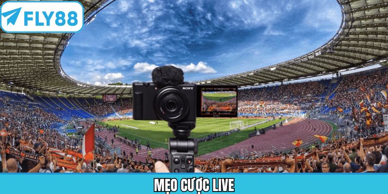 Mẹo Cược Live - Chinh Phục Kèo Thơm Hấp Dẫn Cùng Fly88