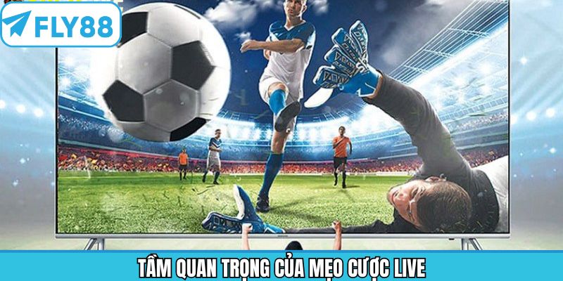 Sự hữu ích khi áp dụng mẹo cược trong bóng đá