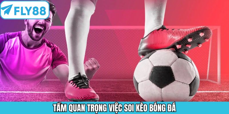 Tầm quan trọng khi soi kèo bóng đá trước khi đặt cược