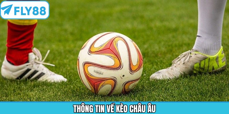 Vài nét cần nắm về hình thức cược châu Âu