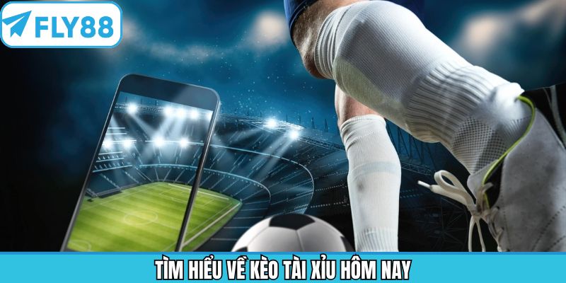 Một số điều cơ bản cần biết về cược tài xỉu hôm nay