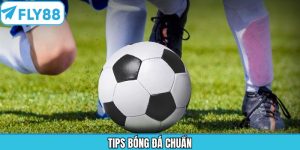 Tips Bóng Đá Chuẩn - Khám Phá Chiến Thuật Hữu Ích Cùng Fly88