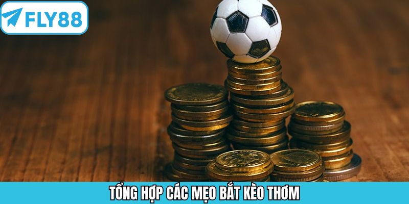 Tổng hợp mẹo bắt kèo thơm cho anh em