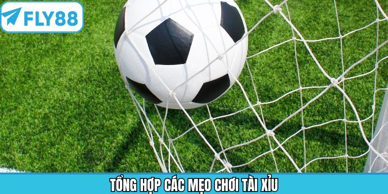 Quan sát sự biến động odds khi dự đoán kèo O/U