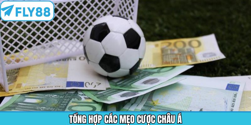 Các mẹo cược châu Á chuẩn xác mà người chơi cần nắm