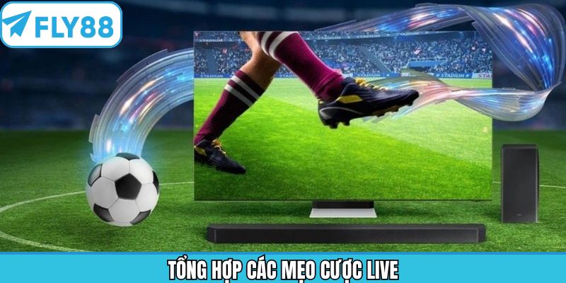 Mẹo cược live dành cho kèo phạt góc