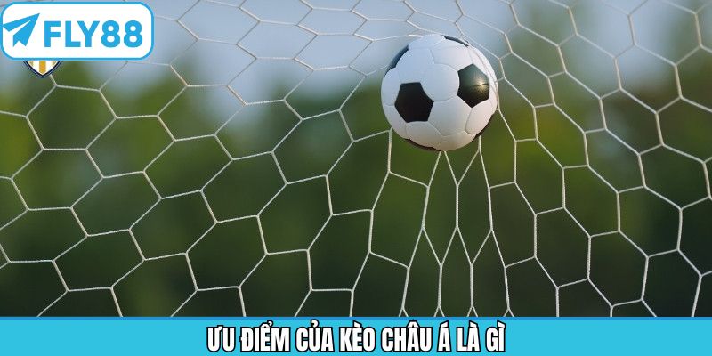 Ưu điểm hấp dẫn khi lựa chọn kèo châu Á là gì