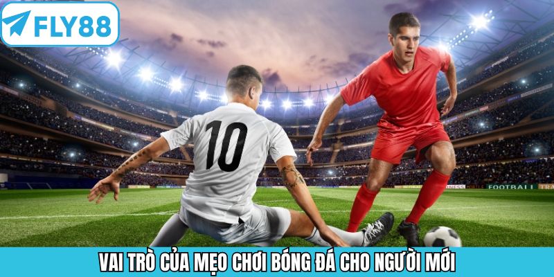 Vai trò quan trọng của việc nắm rõ kinh nghiệm cá cược