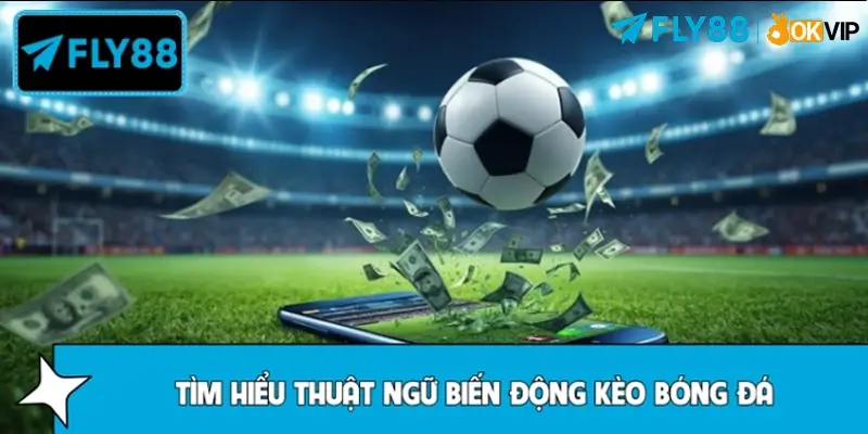 Biến động kèo bóng đá là gì?