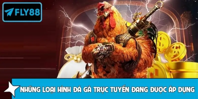 Các hình thức đá gà trực tuyến phổ biến tại nhà cái FLY88