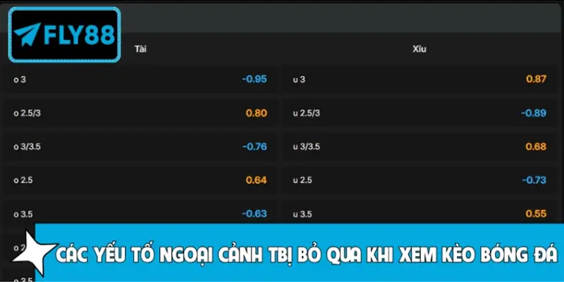 Các yếu tố ngoại cảnh thường bị bỏ qua khi xem kèo bóng đá