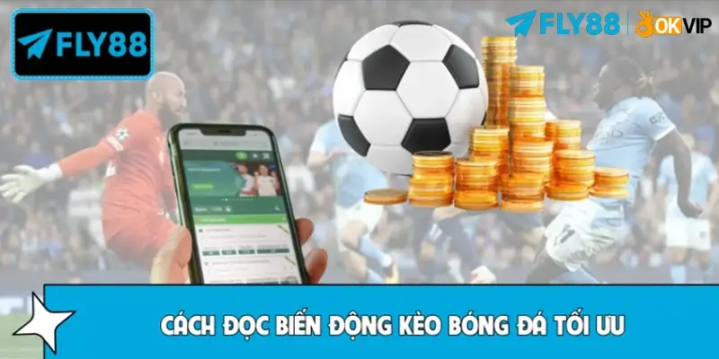 Cách đọc biến động kèo bóng đá hiệu quả từ chuyên gia