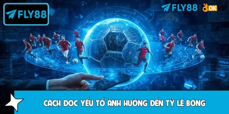 Cách nhìn ra yếu tố ảnh hưởng đến tỷ lệ bóng chính xác