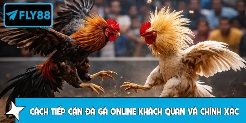 Cách xem đá gà trực tuyến FLY88 đúng đắn để tránh hiểu lầm