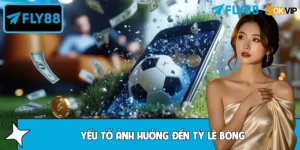 FLY88 Chia Sẻ Những Yếu Tố Ảnh Hưởng Đến Tỷ Lệ Bóng