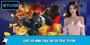 FLY88 Giải Thích Luật Và Hình Thức Đá Gà Trực Tuyến Chi Tiết