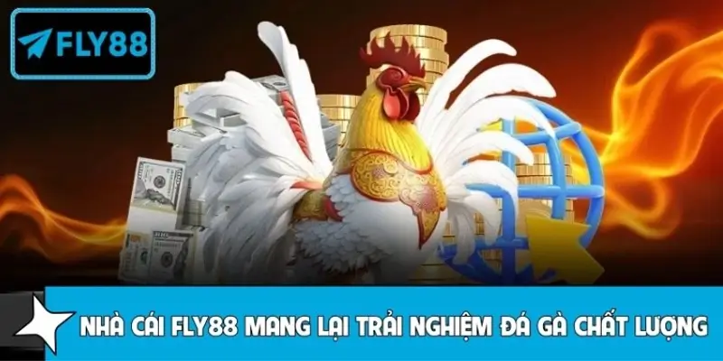 FLY88 - Sân chơi hàng đầu cho trải nghiệm đá gà đỉnh cao