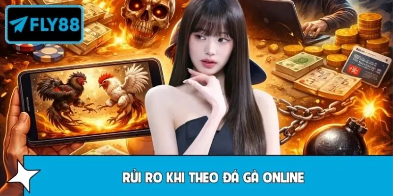 FLY88 Tổng Hợp Rủi Ro Khi Theo Đá Gà Online Cần Biết Ngay!
