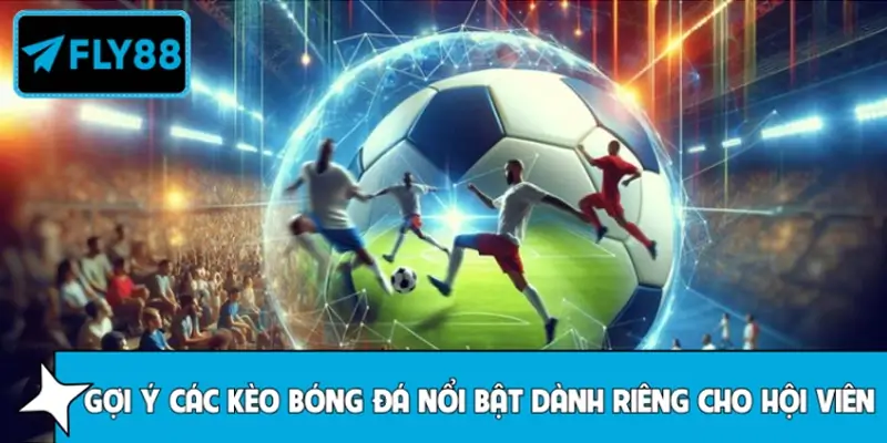 Giới thiệu các kèo bóng đá nổi bật cho thành viên FLY88