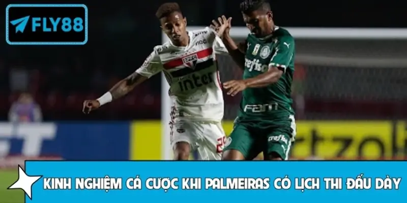 Kinh nghiệm cá cược khi Palmeiras có lịch thi đấu dày đặc
