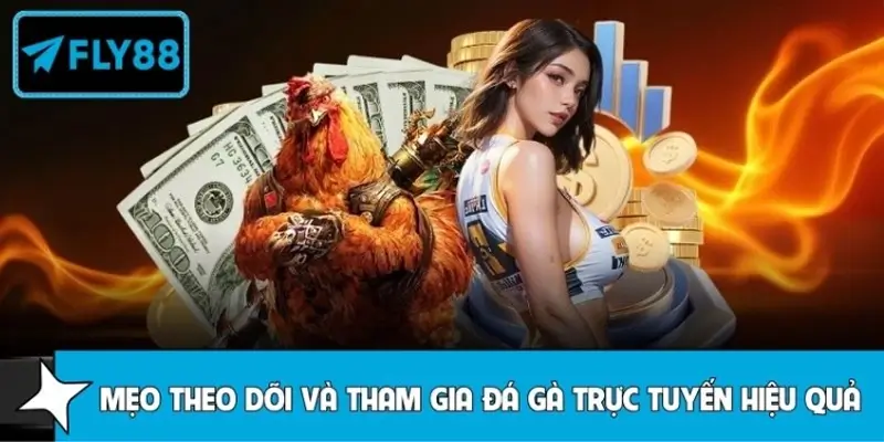 Kinh nghiệm chơi đá gà trực tuyến hiệu quả tại FLY88