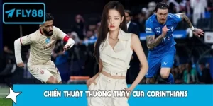 Mẹo Theo Dõi Phong Độ Al Hilal Tại Giải Trung Đông Của FLY88