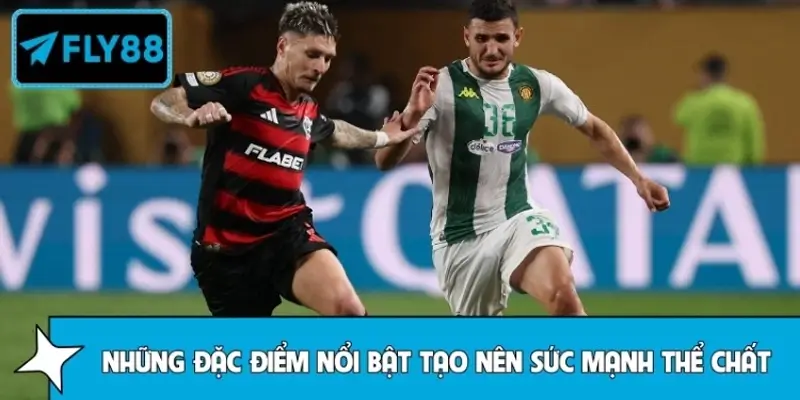 Những đặc điểm nổi bật tạo nên sức mạnh thể chất của Flamengo