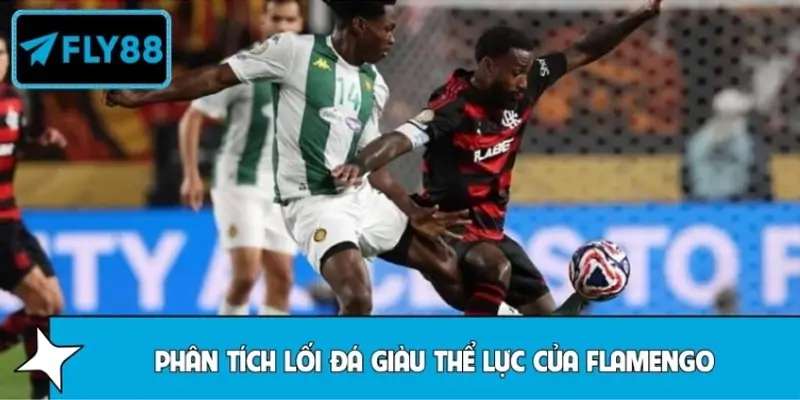 Phân tích lối đá giàu thể lực của Flamengo qua các chỉ số