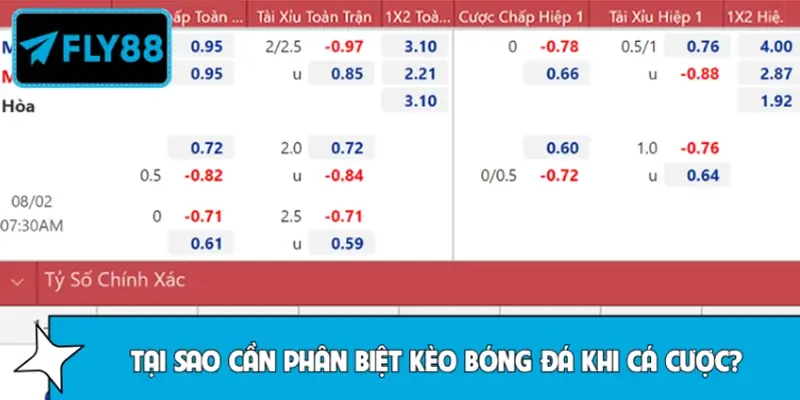 Tại sao cần phân biệt kèo bóng đá khi cá cược tại FLY88?
