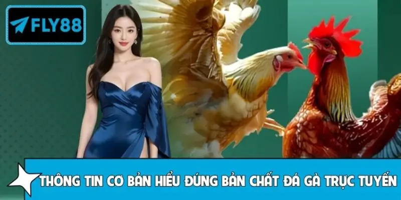 Tìm hiểu sơ lược khái niệm đúng về đá gà trực tuyến