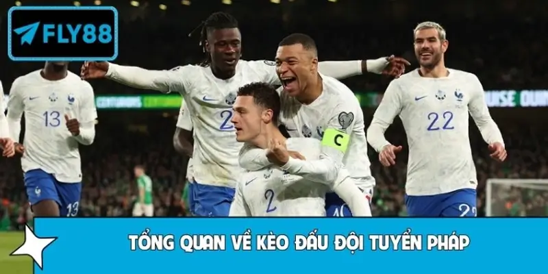 Tổng quan về kèo đấu đội tuyển Pháp