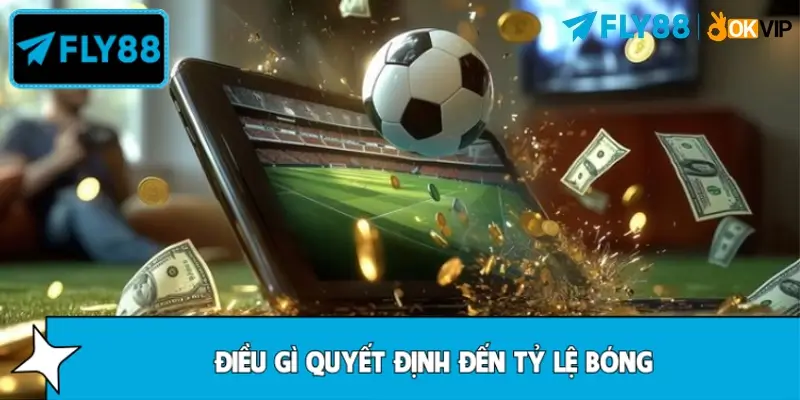 Tỷ lệ bóng là gì?