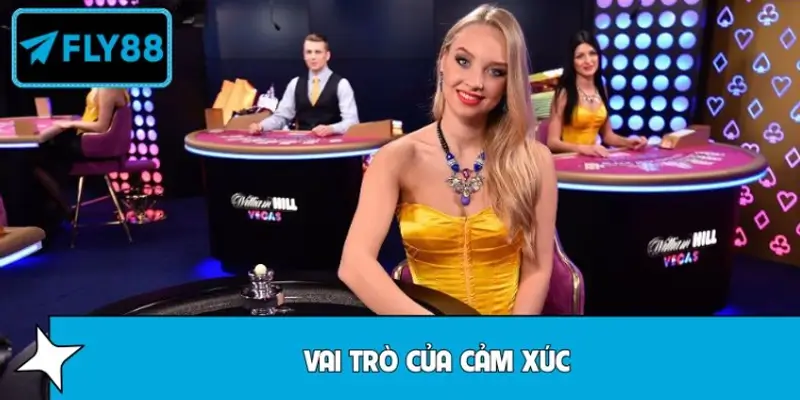 Vai trò của cảm xúc trong chuỗi kỳ vọng – gỡ gạc