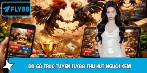 Vì Sao Đá Gà Trực Tuyến FLY88 Thu Hút Người Xem Đông Đảo?