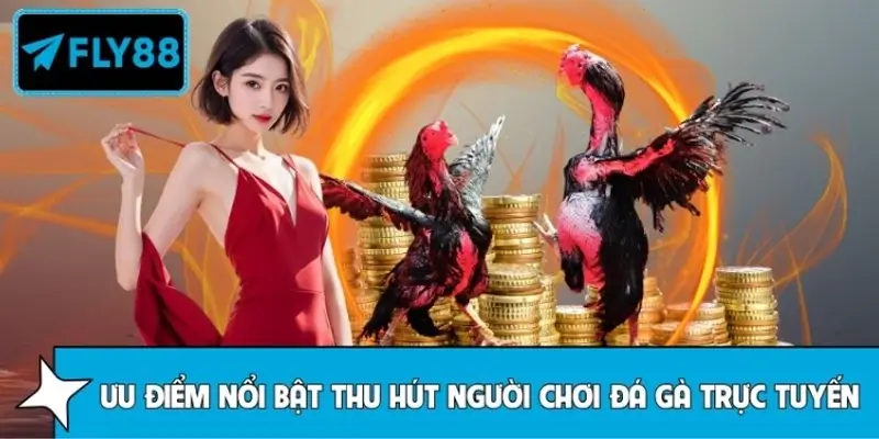 Vì sao đá gà trực tuyến ngày càng nhiều người tham gia?