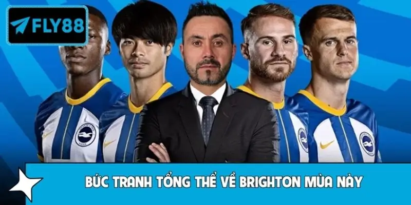 Bức tranh tổng thể về Brighton mùa này
