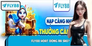 FLY88 Hoạt Động Ra Sao? Hé Lộ Cơ Chế Vận Hành Đầy Bất Ngờ