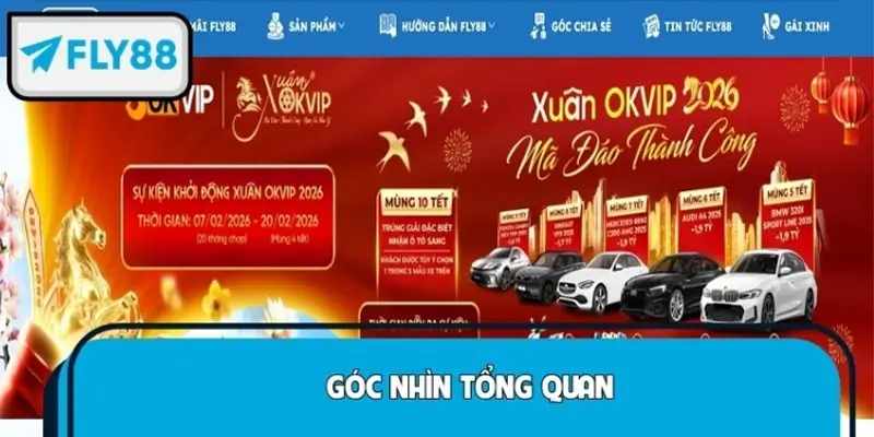 FLY88 khác gì nhà cái khác? Góc nhìn tổng quan 