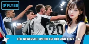 Mẹo Đọc Kèo Newcastle United Khi Đội Hình Xoay Tua Tại Fly88