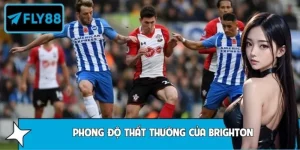 Phân Tích Phong Độ Thất Thường Của Brighton - Ẩn Số Cần Giải